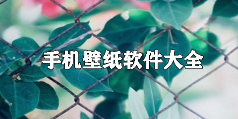 手机壁纸软件大全