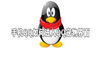 手机QQ如何进入QQ宠物界面