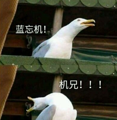 抖音蓝氏禁言表情包