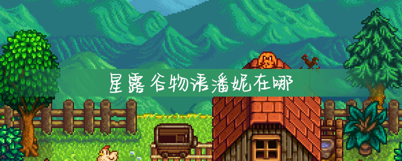 星露谷物语潘妮在哪