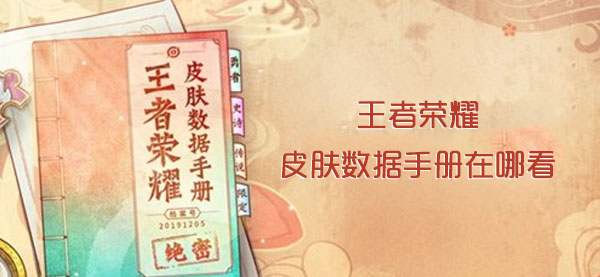 王者荣耀皮肤数据手册在哪里看