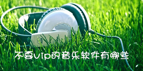不要vip的音乐软件大全