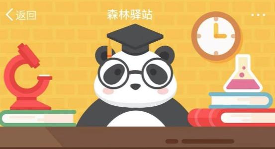 2月18日森林驿站森林小课堂问题