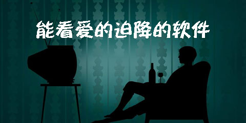 能看爱的迫降的软件大全