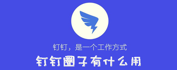 钉钉圈子有什么用