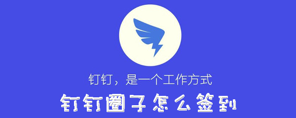 钉钉圈子怎么签到