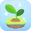 Focus Plant