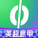 爱奇艺体育安卓版