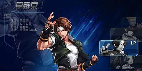 高画质的格斗游戏大全