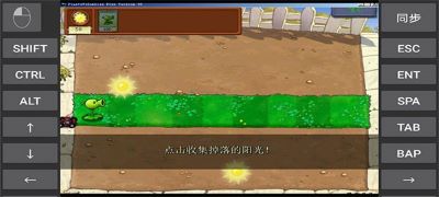 植物大战僵尸95版