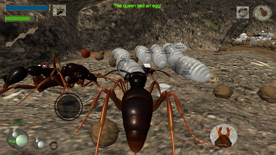 3d蚂蚁模拟器