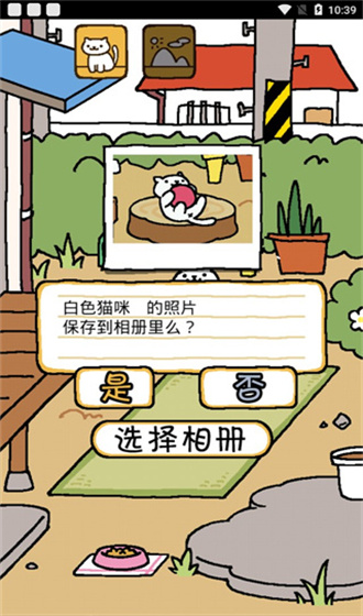 猫咪收集