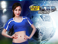 足球大赢家