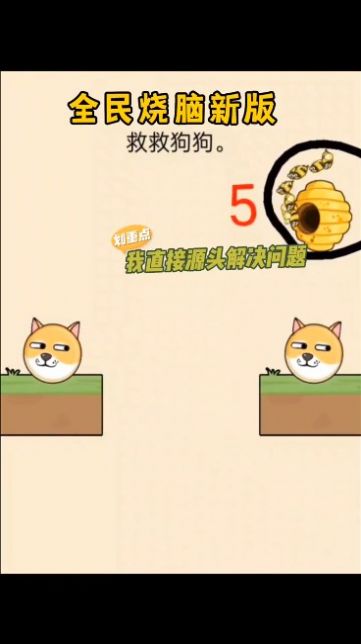 快手救救狗狗手机版