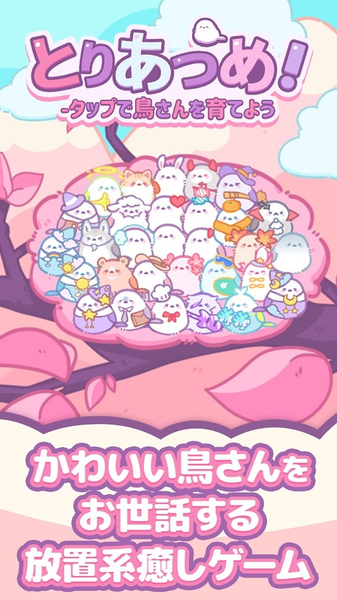 小鸟收集中文版