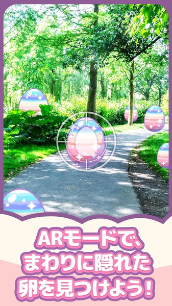 小鸟收集中文版