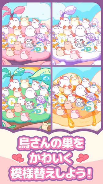 小鸟收集中文版