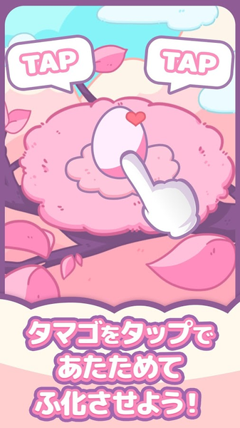 小鸟收集中文版