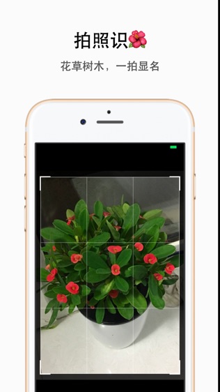 植物识别app