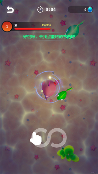 不可思议的进化