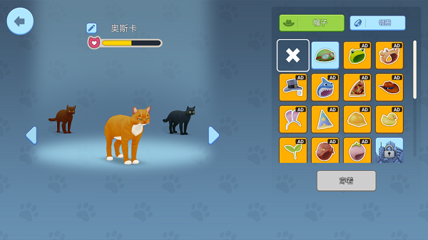 我的宠物猫