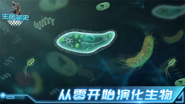 生命简史古生物放置