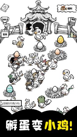 养鸡时长两年半安卓版