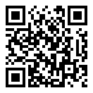 闪闪壁纸最新版