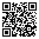 忍者格斗冒名顶替者