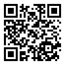 锤子小说纯净版