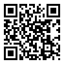 鱼丸小说最新版