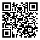 蔚蓝档案发亮的花束物品图鉴介绍