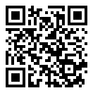 神偷鲍勃2中文版