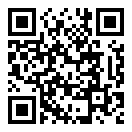 枝猫小说最新版