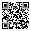 小猫钓鱼模拟器