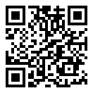 冬日树下的回忆