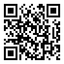 枪手的荣耀中文版