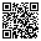 Niagara Launcher Pro正版