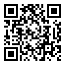 离家的猫中文版