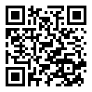 特技汽车平衡器3