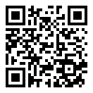 武装突袭策略汉化版