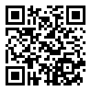 熊猫弹夹黑熊小偷