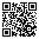 慢动作特工手机版